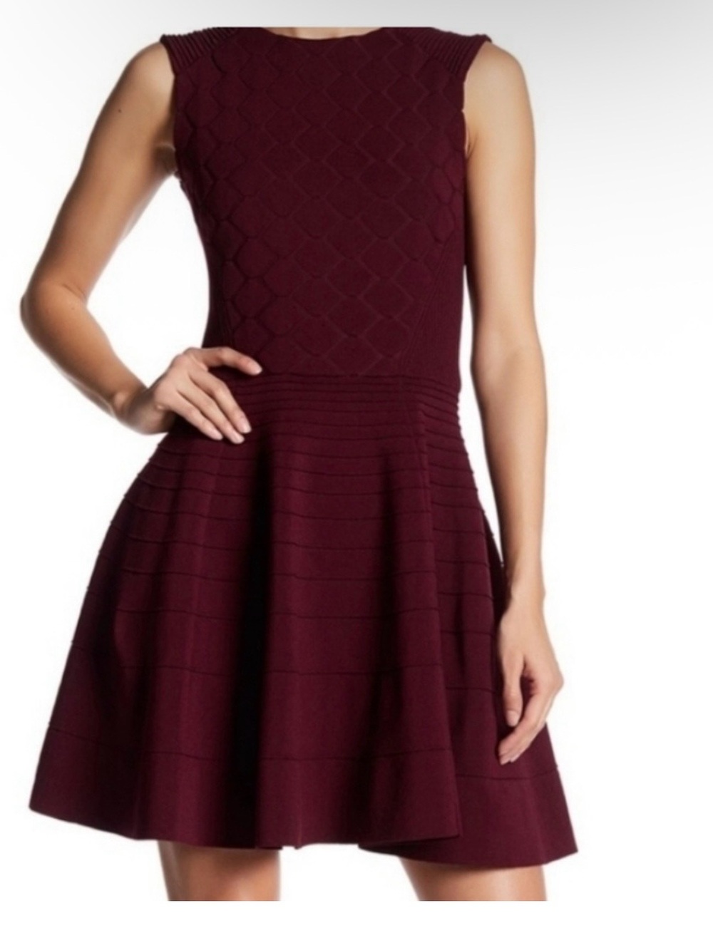 Ted Baker London Sleeveless Fit-and-Flare Skater Dress in Burgundy